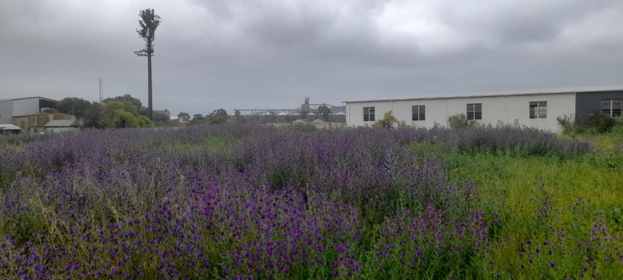  Bedroom Property for Sale in Moorreesburg Western Cape